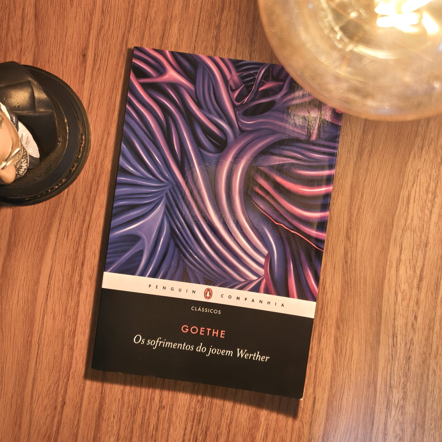 os-sofrimentos-do-jovem-werther